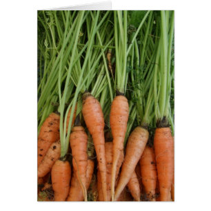 Tarjeta vegetal de zanjas recién hecha