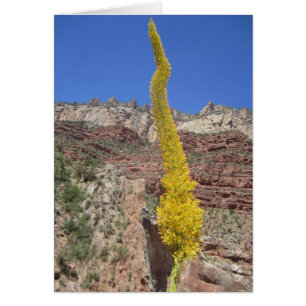 Tarjeta vegetal del siglo