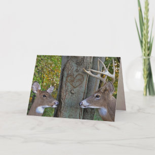 Tarjeta venado en bosques con verdadero corazón de amor