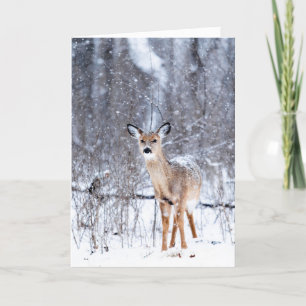 Tarjeta Venado en la nieve
