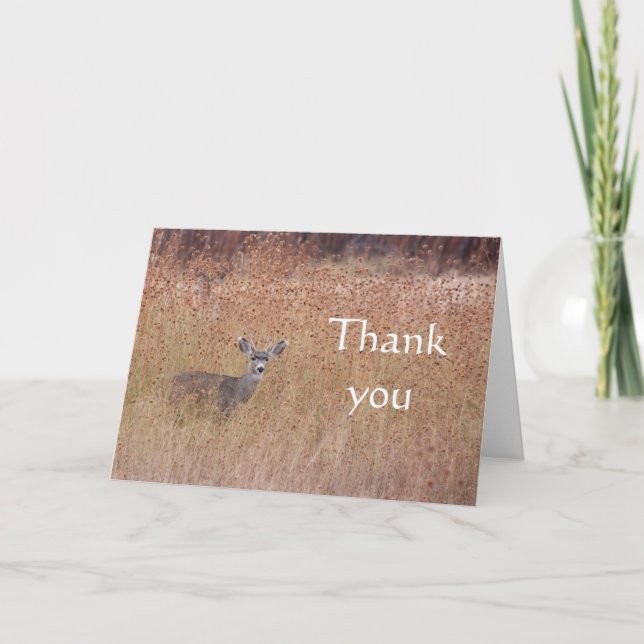 Tarjeta Venado en la pradera gracias (Anverso)