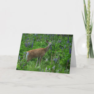 Tarjeta Venado entre los lupinos