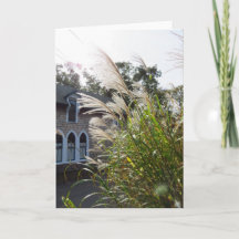 Ventanas con arcos de gramíneas altas - Viñedo de 