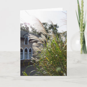 Tarjeta Ventanas con arcos de gramíneas altas - Viñedo de 