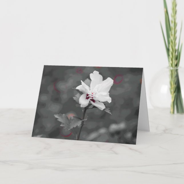 Tarjeta Verano (Anverso)