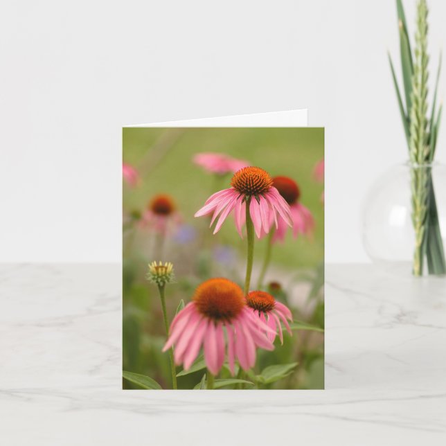 Tarjeta Verano en Bohemia (Anverso)