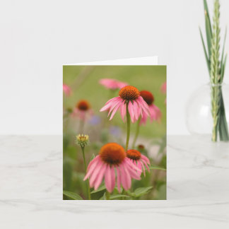 Tarjeta Verano en Bohemia