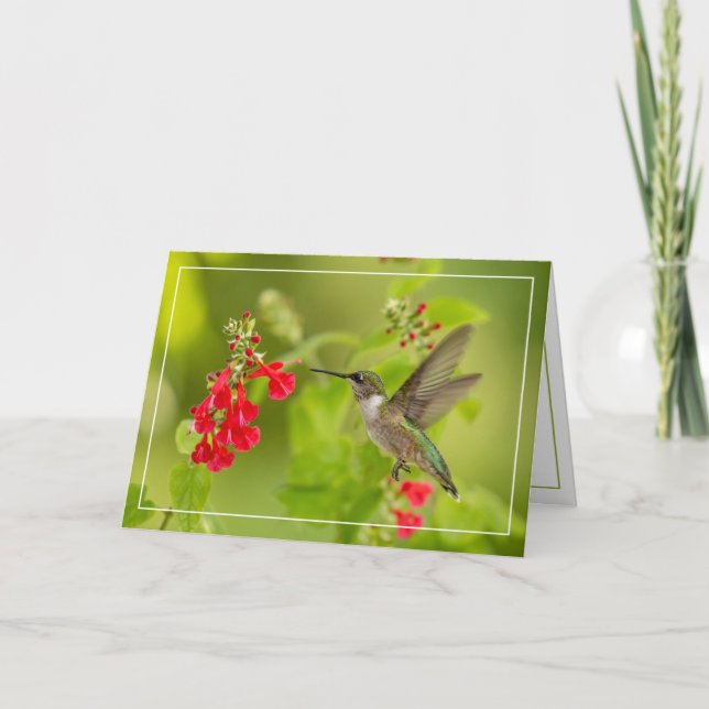 Tarjeta Verano verde suave (Anverso)