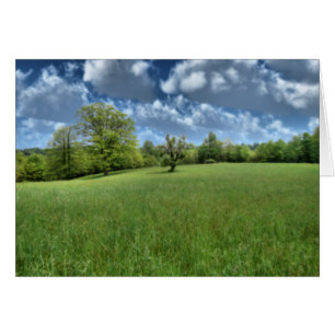 Tarjeta verde appalache