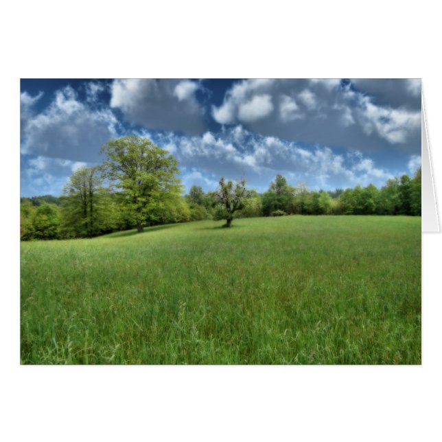 Tarjeta verde appalache (Anverso (Horizontal))