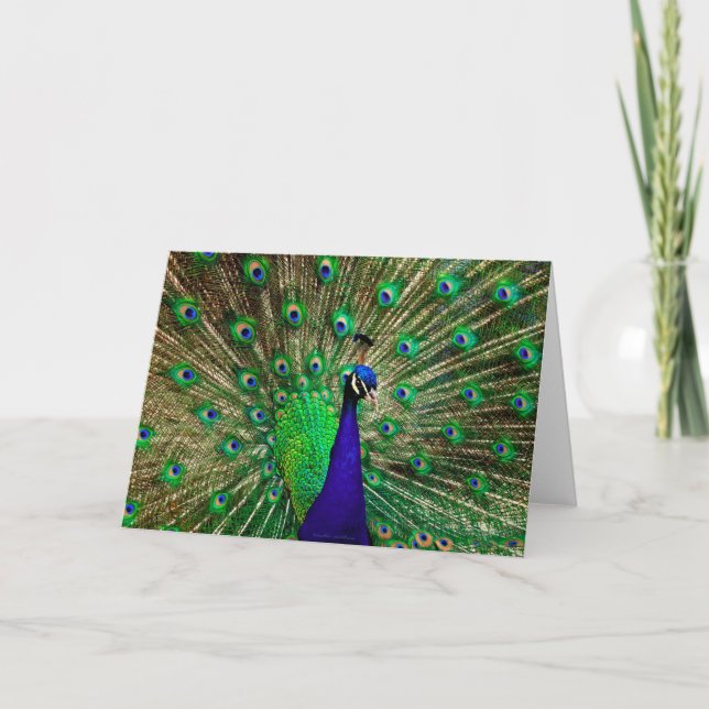 Tarjeta Verde azul brillante Peacock (Anverso)