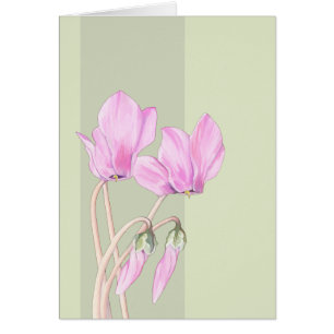 Tarjeta verde Cyclamens rosa