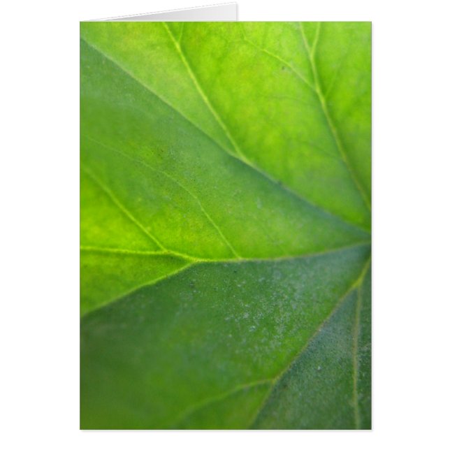 Tarjeta verde de la hoja (Frente)