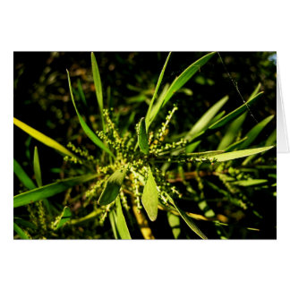 tarjeta verde de la naturaleza