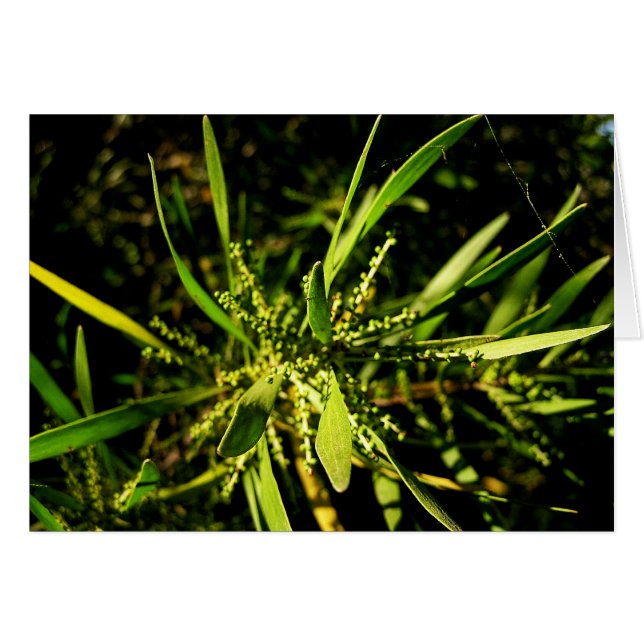 tarjeta verde de la naturaleza (Anverso (Horizontal))