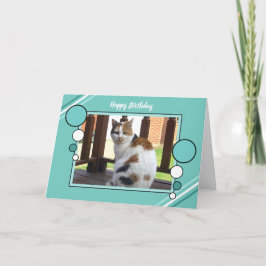Tarjeta Verde de la turquesa de la foto del gato de calicó