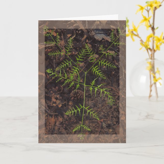 Tarjeta verde de primavera  (flor amarilla)