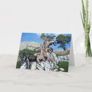 Tarjeta verde del árbol de la cala