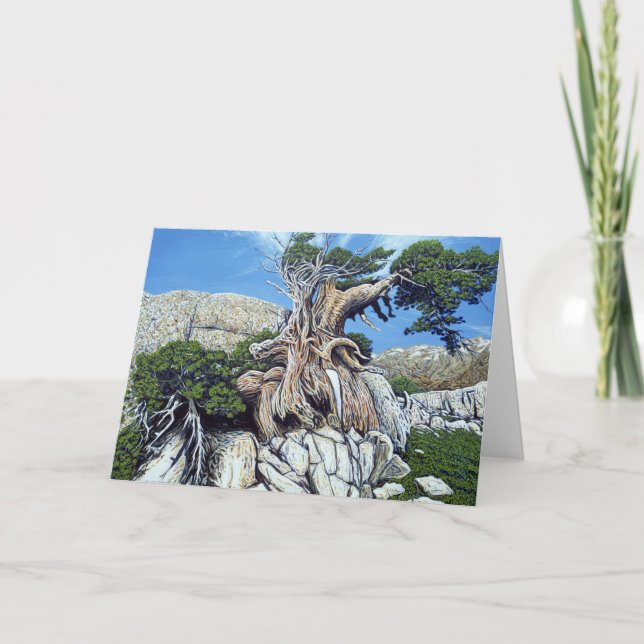 Tarjeta verde del árbol de la cala (Anverso)