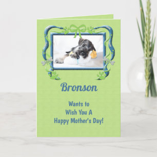 Tarjeta Verde del día de la madre del perro