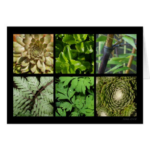 Tarjeta verde del follaje