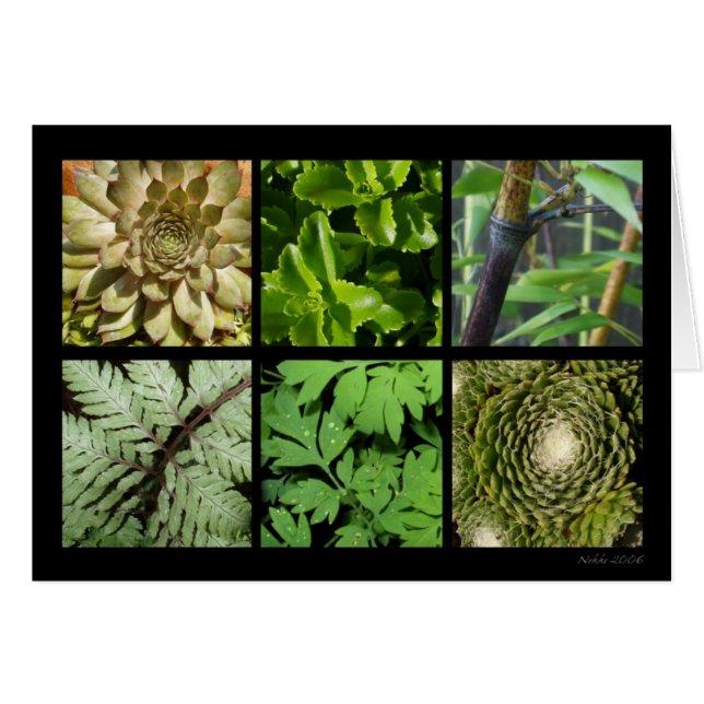 Tarjeta verde del follaje (Anverso (Horizontal))