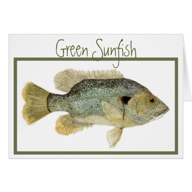Tarjeta verde del Sunfish (Anverso (Horizontal))