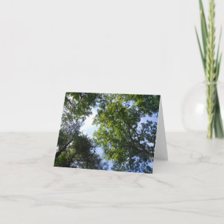 Tarjeta Verde Natural
