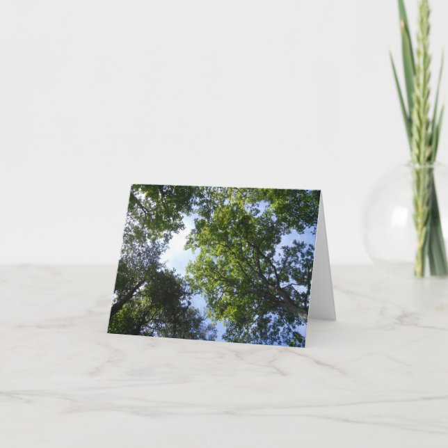 Tarjeta Verde Natural (Anverso)