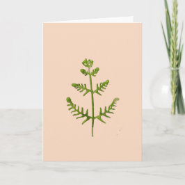Tarjeta verde primavera