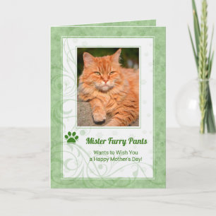 Tarjeta Verde rico de la foto del Día de la Madre del Gato