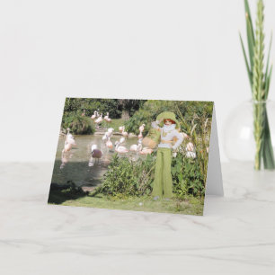 Tarjeta Verdi, flamencos en el parque zoológico de Houston