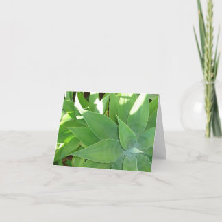 Tarjeta Verdor v2