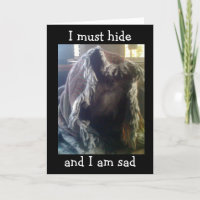 VERGÜENZA - YO **** SU CUMPLEAÑOS