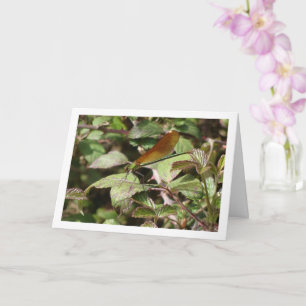 Tarjeta vertical Damselfly