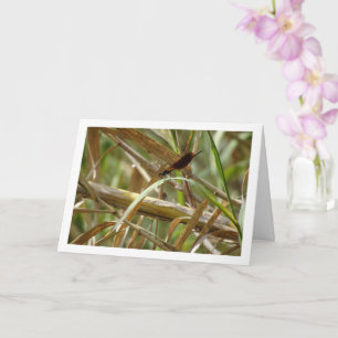 Tarjeta vertical Damselfly