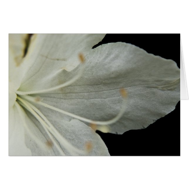 Tarjeta vertical Petal (Anverso (Horizontal))