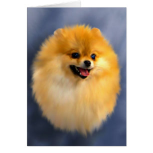 Tarjeta vertical pomerania