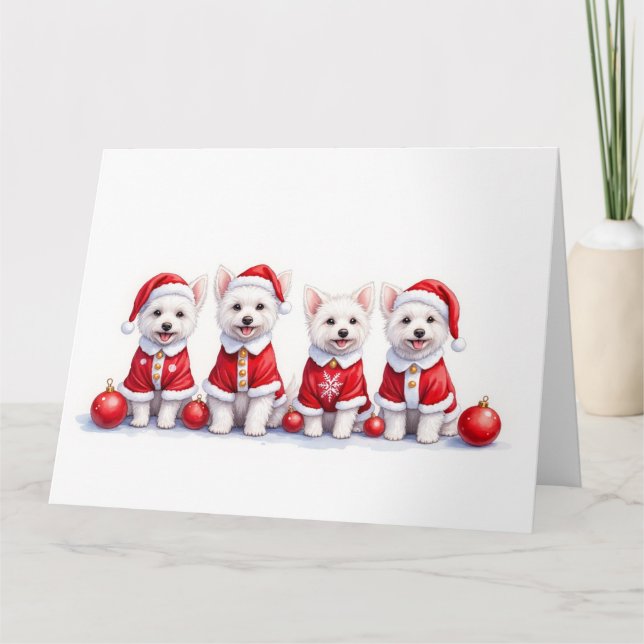 Tarjeta Vestido de Navidad Coton de Tulear Sombrero de San (Anverso)