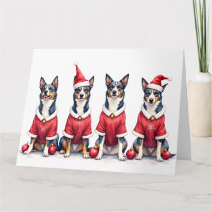 Tarjeta Vestido de Navidad de Blue Heeler con sombrero de
