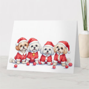 Tarjeta Vestido de Navidad Malti Tzu Sombrero de Santa