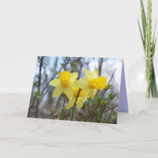 Tarjeta Via, Veritas, Vita