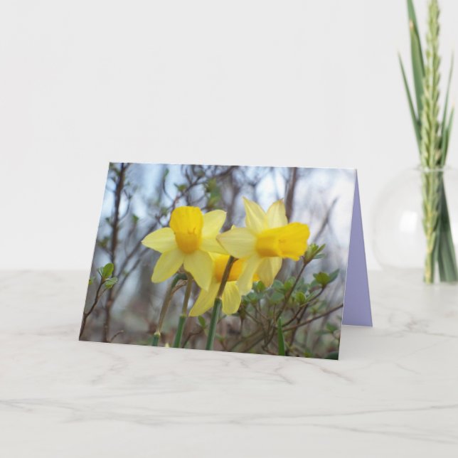 Tarjeta Via, Veritas, Vita (Anverso)