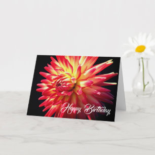 Tarjeta Vibrante Red Dahlia Flower Birday