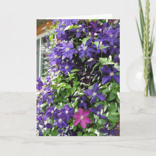 Tarjeta Vid del Clematis, inspiradora