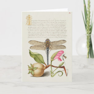 Tarjeta Vida de jardín, libélula, pera, clavel e insecto