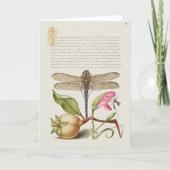 Tarjeta Vida de jardín, libélula, pera, clavel e insecto (Anverso)