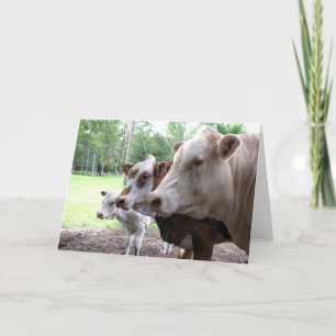 Tarjeta Vida de la granja (7416) - Vacas