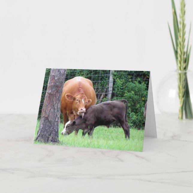 Tarjeta Vida de la granja — Vaca mami y ternera (Anverso)