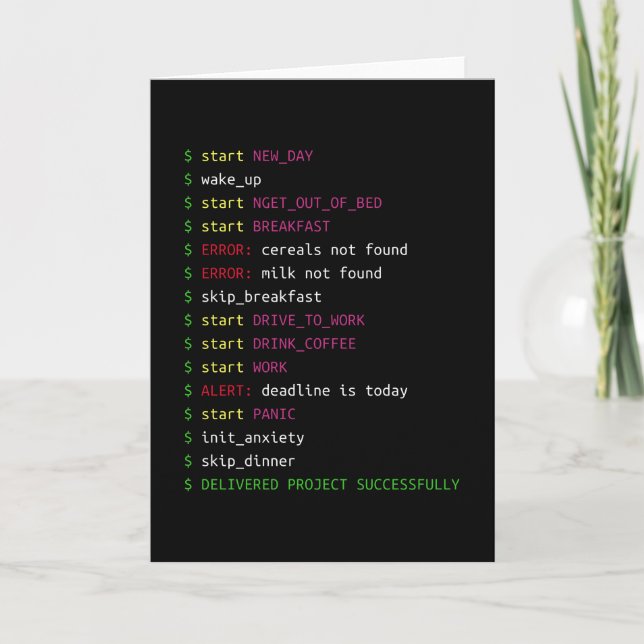 Tarjeta Vida de un programador | Coding Geek Gift (Anverso)